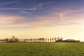 紫色黄昏牧场草地风景图片